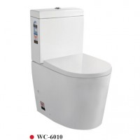 Ceramic Dual Flush Floor Watermark Toilet Australian Toilet